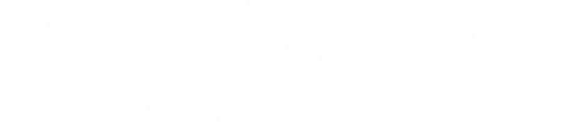 Steam